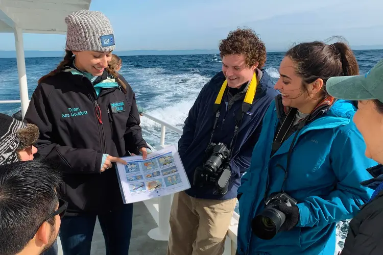 Private Charters - Sea Goddess Whale Watching