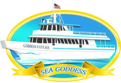 Sea Goddess Whale Watching